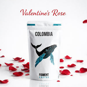 Colombia - Valentine's Rose