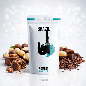 Brazil - Monica Borges
