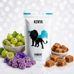 Kenya – Kieni AB